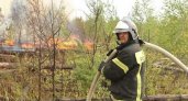 Пожары в Кудомском лесничестве Рязанской области пока не локализованы
