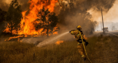 Малков рассказал о локализации лесных пожаров в Рязанской области