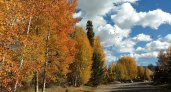 12 октября в Рязанской области ожидается до +13 градусов