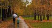 8 октября жителей Рязани ожидает дождь, туман и до +8 градусов