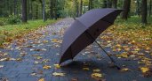 29 октября в Рязанской области ожидается дождь и +10