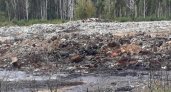 Малков заявил о намерении добиться полного закрытия мусорной свалки в Турлатове