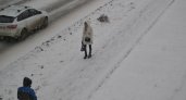 6 января в Рязанской области ожидается снегопад, гололедица и до -22