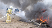 Площадь лесных пожаров в Рязанской области достигла 27 тысяч гектаров