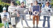 В Рязани примерно 100 жителей собрались на пикет в защиту животных