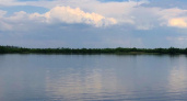 В мэрии Рязани напомнили о запрете купания в реке Солотча