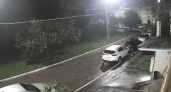 Ночью 30 июля в Дашково-Песочне собаки изгрызли автомобиль