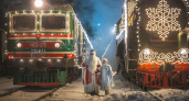Жители Рязани пожаловались на невозможность приобрести билет на поезд Деда Мороза