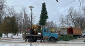В Рязани приступили к установке главной городской новогодней ёлки