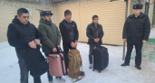 В Рязани поймали четверых нелегальных мигрантов и выдворили из России