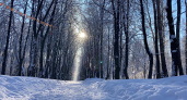 6 января в Рязанской области ожидаются морозы до -28