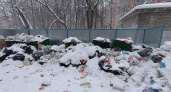 Жители Рязани пожаловались на горы мусора во дворах на улице Советской Армии