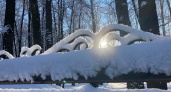 14 февраля в Рязанской области ожидается снег и до -18