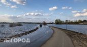 В Рязанской области половодье может затронуть 28 населенных пунктов 