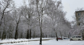 2 марта в Рязанской области ожидается туман и до +3