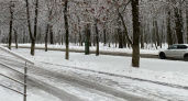 3 марта в Рязанской области ожидается туман и до +4