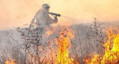 В Рязанской области выявили первый случай возгорания травы