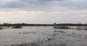 В Рязани ожидается уровень подъема воды в Оке выше 620 см