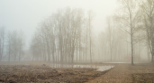 МЧС Рязанской области предупредило о густом тумане 10 апреля
