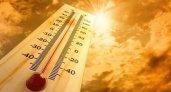 МЧС Рязанской области предупредило об аномально жаркой погоде