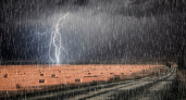 МЧС Рязанской области объявило метеопредупреждение на 17 и 18 апреля