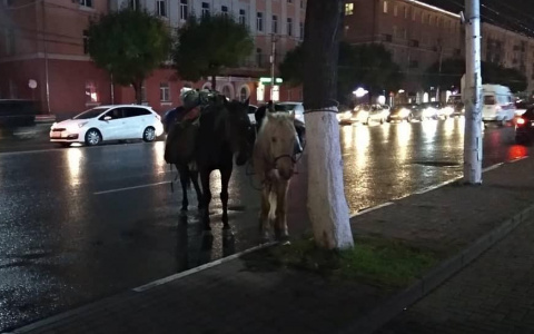 Фото дня: 2 лошади "припаркованы" на обочине Первомайского проспекта. Кажется, они не против