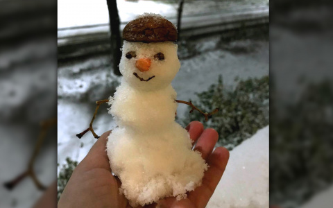 Утро в Instagram: как рязанцы встретили первый снег