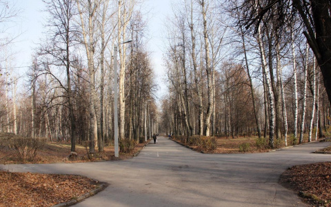 Карабасов отреагировал на жалобы о благоустройстве парка Гагарина