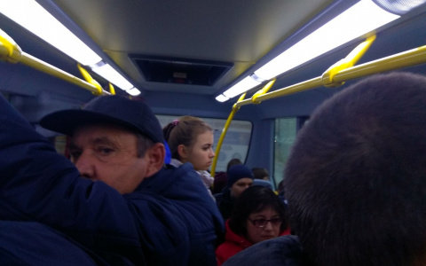Что бесит в общественном транспорте Рязани. Мнения журналистов Pro Города и народные фото