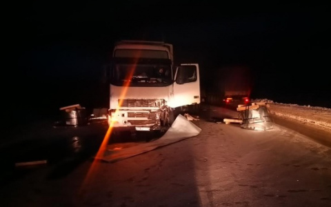 В Михайловском районе Daewoo Nexia врезалась в фуру: водитель седана погиб