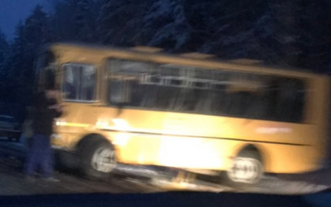 В Касимовском районе школьный автобус попал в ДТП