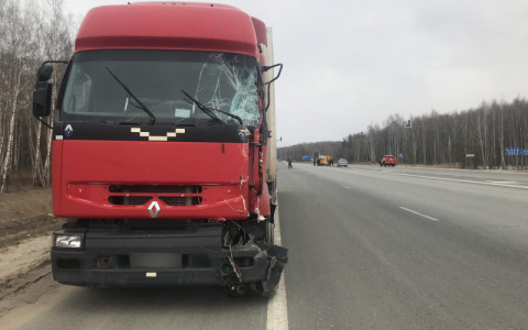 В Рязанской области водитель фуры врезался в школьный автобус