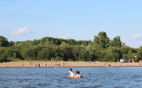 10 июня в Сасовском районе откроют пляж