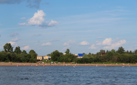 Какие пляжи Рязани готовы к купальному сезону: список от МЧС