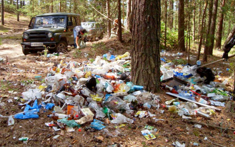 "Очистим лес от мусора": в рязанском лесу собрали более двух тонн различных отходов