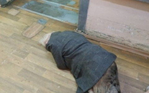 В БСМП пенсионерка с разбитой головой лежала на полу
