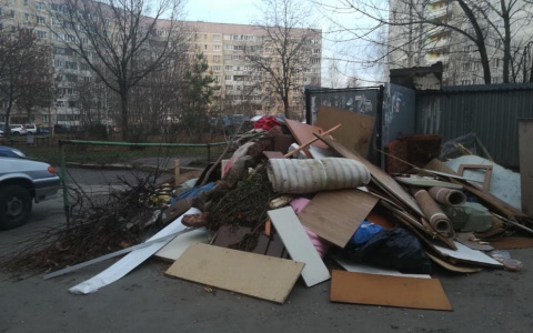 Очередная жертва мусорной реформы: рязанцы продолжают жаловаться на свалки возле домов