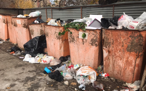 Любимов: регоператор исправит недостатки по вывозу мусора