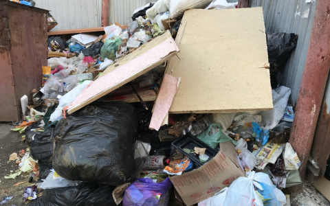 Куда жаловаться на некачественную уборку и невывоз мусора? Инструкция от мэрии Рязани