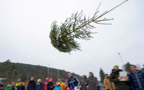 В воскресенье в Рязани будут метать новогодние елки