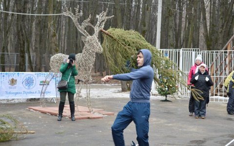 На соревнованиях в Рязани метнули новогоднюю елку на 20 метров