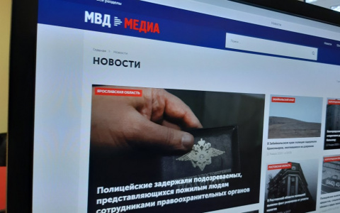 Полицейские сводки в новом формате: в России заработал новостной портал МВД