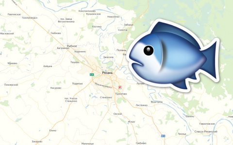 Карта с душком: на каких улицах Рязани из кранов льется "рыбная" вода