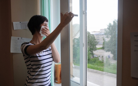 Нас травят: жительница Песочни  пожаловалась на удушающий запах в воздухе