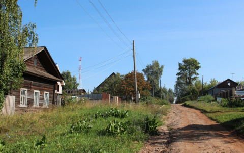 Свозят мусор самосвалами: жительница Сапожковского района просит помочь спасти от загрязнения экологически чистую деревню