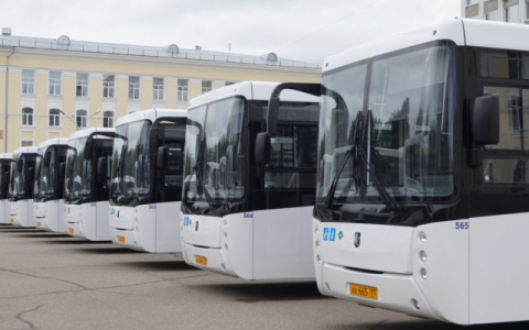 В Рязани станет больше автобусов
