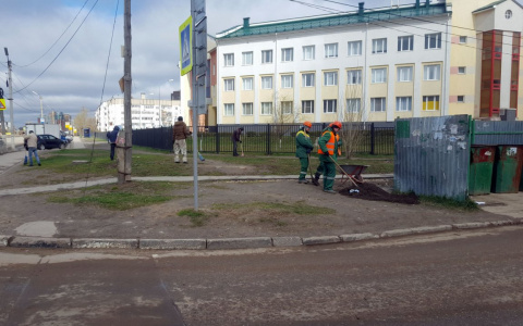Масштабная уборка: как сотрудники ГК "Зеленый сад" помогали приводить в порядок улицы города