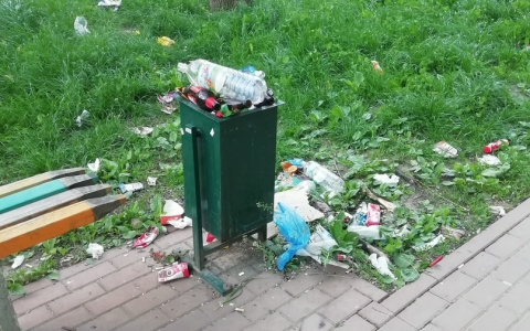 “Бросить мусор некуда”: рязанка жалуется на переполненные урны на детской площадке