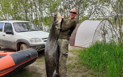 Вот так улов: тульский рыбак вытащил из Оки гигантского сома неподалеку от Шилово