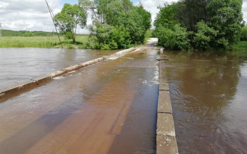 Подъем воды в реке: в Сапожковском районе подтопило низководный мост